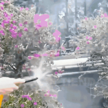 Boquilla de alta presión™: convierte cualquier manguera en una hidrolavadora al instante + regalo sorpresa